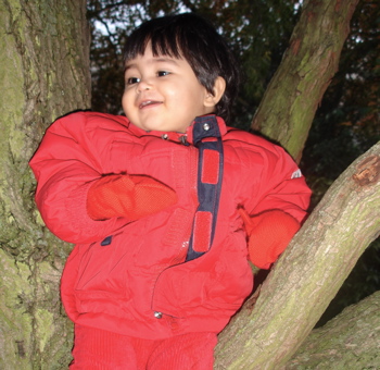 18 Nov tree.jpg